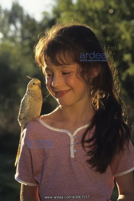 : Girl with Cockatiel elegant on the shoulder : Girl with Cockatiel elegant on the shoulder