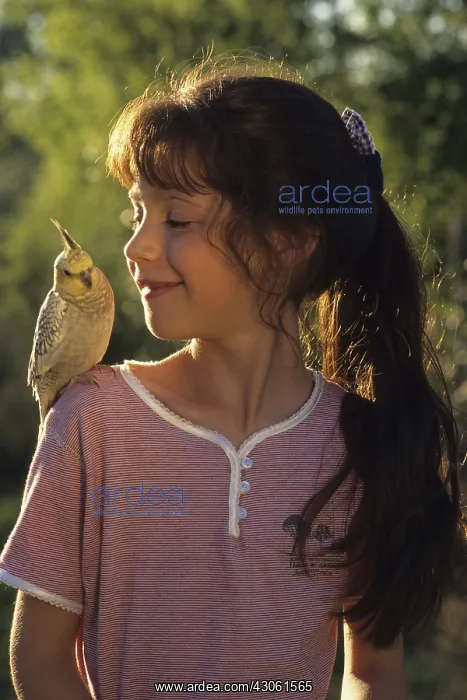 : Girl with Cockatiel elegant on the shoulder : Girl with Cockatiel elegant on the shoulder