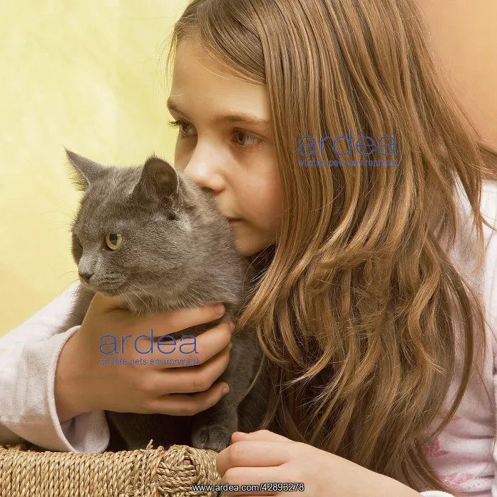  : Girl - cuddling grey cat