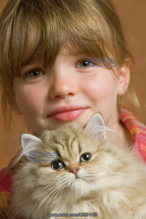  : Girl - cuddling Persian Kitten