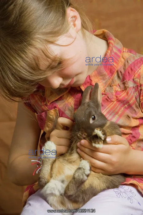  : Girl - cuddling rabbit