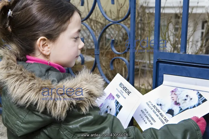 : Girl distributing posters to find his lost dog : Girl distributing posters to find his lost dog