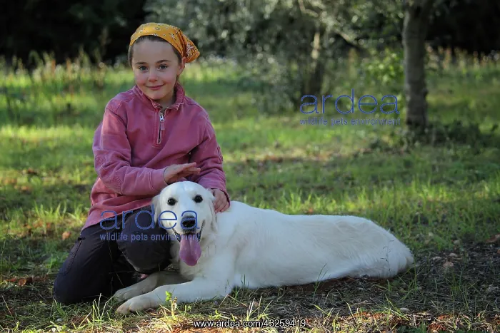  : Girl and dog in the grass - France
