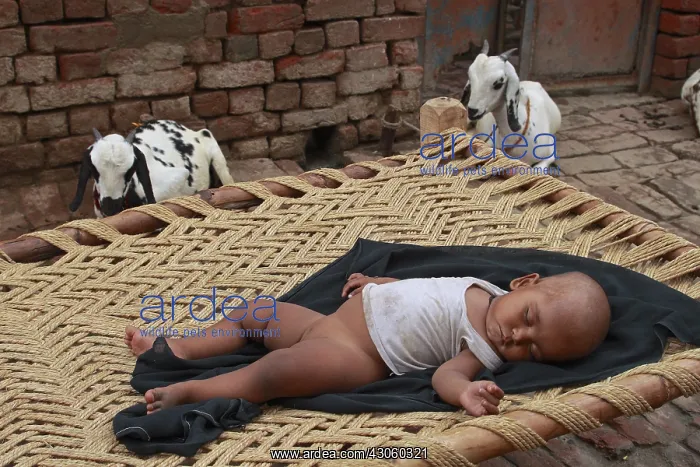 : Girl doing a nap in an street Inde : Girl doing a nap in an street Inde