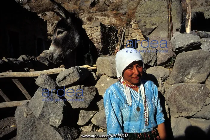 : Girl and her donkey Hibara Valley Central Anatolia : Girl and her donkey Hibara Valley Central Anatolia