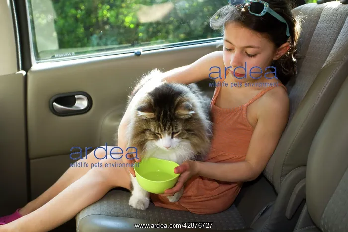  : Girl - giving cat a drink - in rear of car