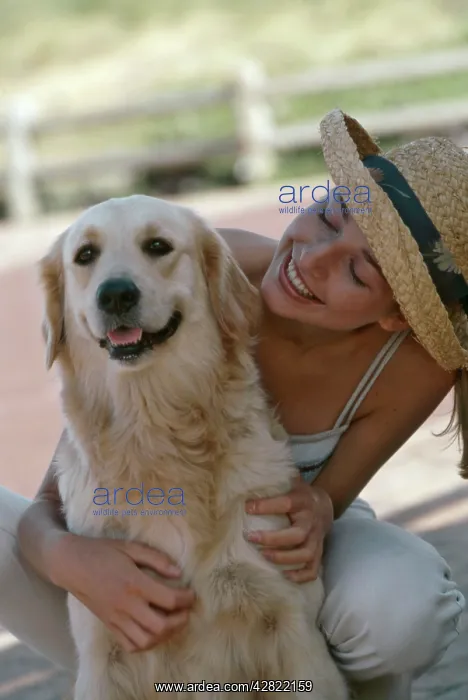 : Girl with Golden Retriever dog : Girl with Golden Retriever dog