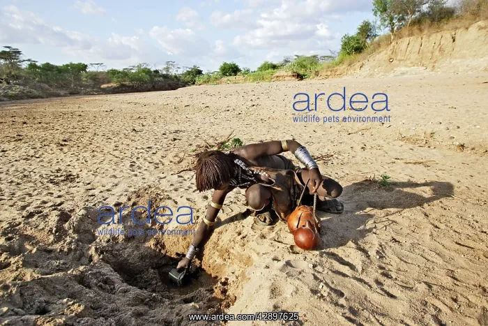 : Girl, Hamer tribe - collecting water : Girl, Hamer tribe - collecting water