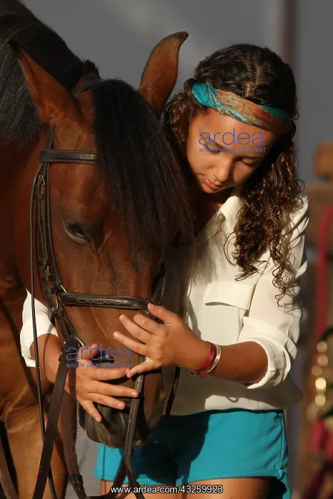 : Girl harnessing his horse - Senegal : Girl harnessing his horse - Senegal