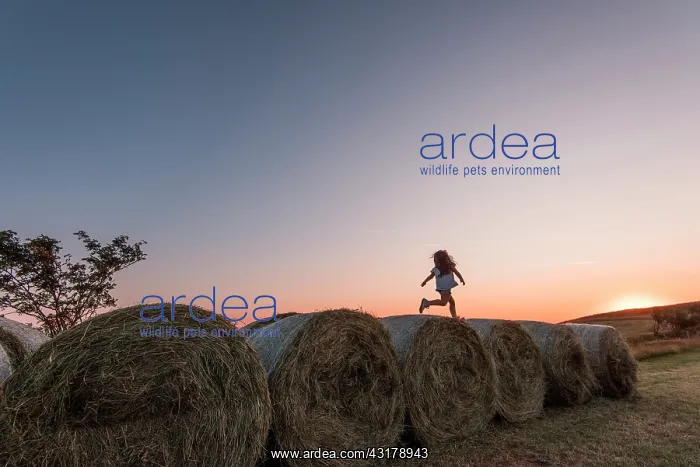 : Girl jumping on rolls of straw at sunset : Girl jumping on rolls of straw at sunset