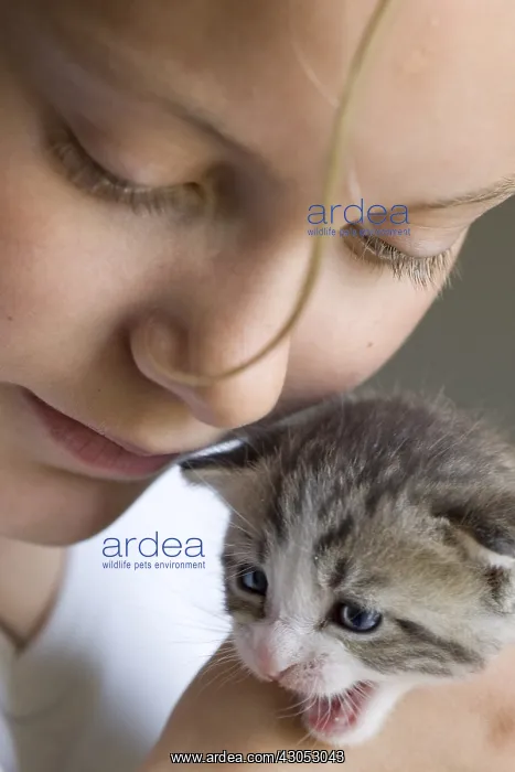 : Girl with a kitten near his face : Girl with a kitten near his face
