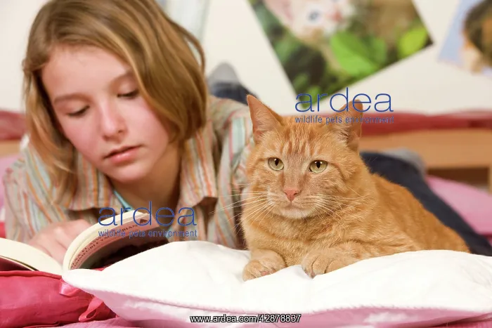  : Girl lying on bed reading, with ginger cat