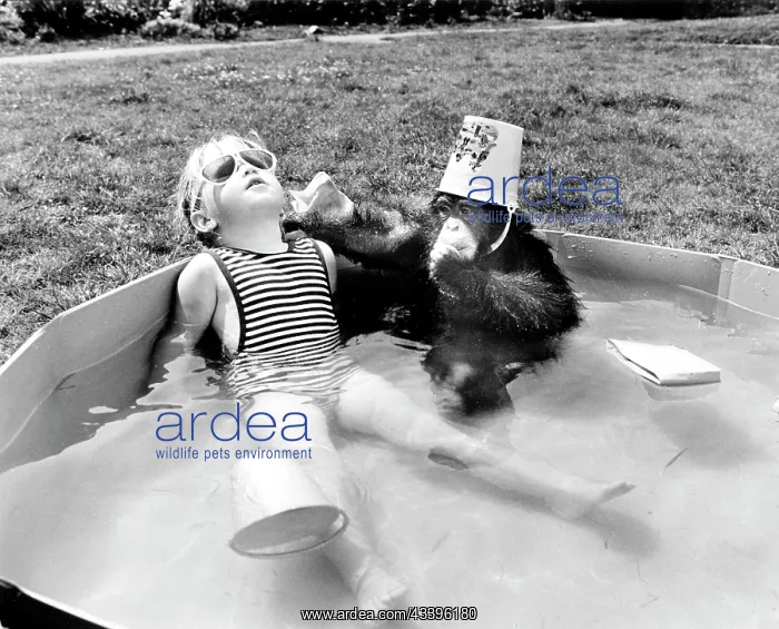 : Girl with monkey sitting relaxed in the swimming p : Girl with monkey sitting relaxed in the swimming p