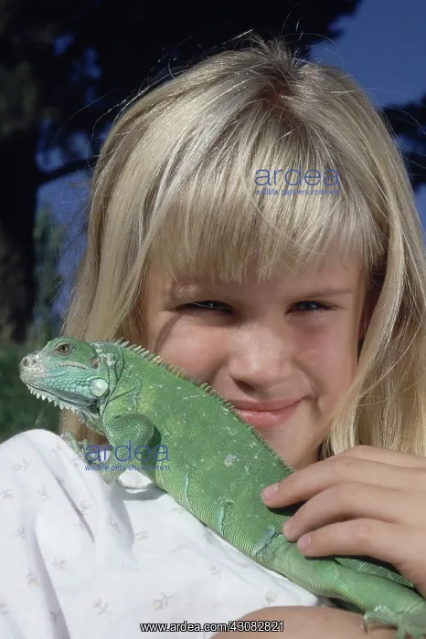 : Girl with Pet Iguana : Girl with Pet Iguana