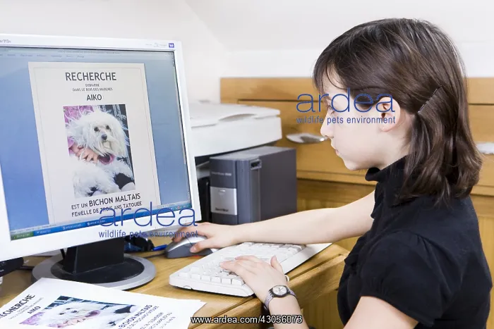 : Girl preparing a poster to find her lost dog : Girl preparing a poster to find her lost dog