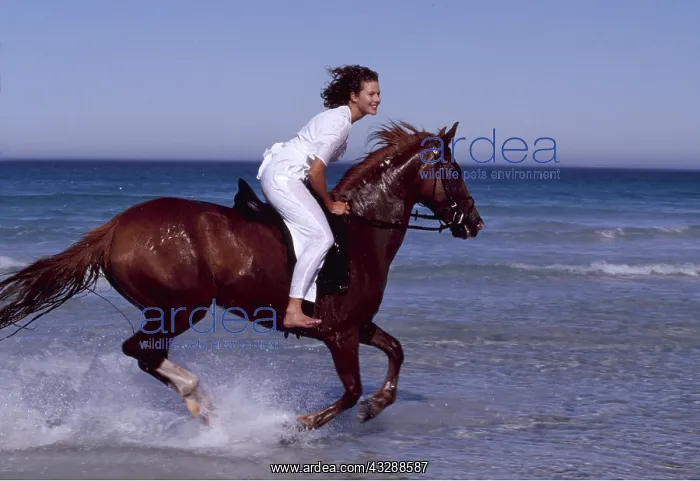 : Girl rides HORSE - galloping along sea edge : Girl rides HORSE - galloping along sea edge