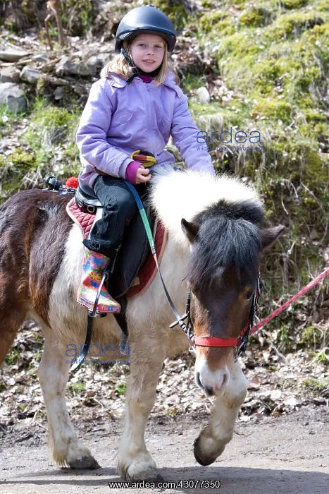 : Girl riding a poney Haut-Rhin France : Girl riding a poney Haut-Rhin France