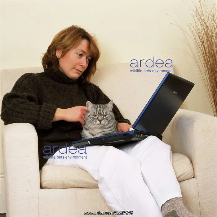: Girl with Silver Tabby CAT - In contemporary setting : Girl with Silver Tabby CAT - In contemporary setting