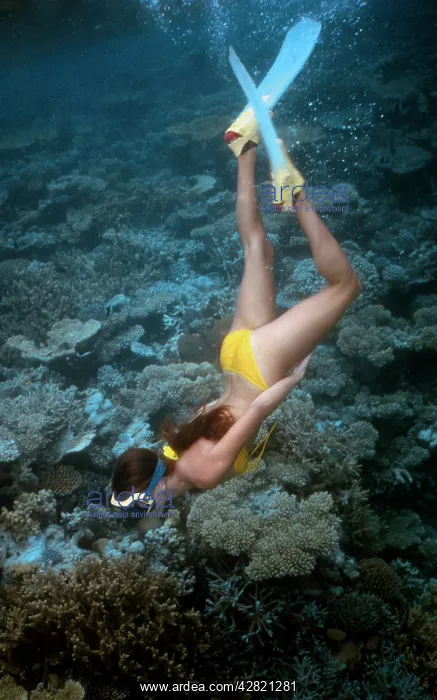 : Girl Snorkeling : Girl Snorkeling