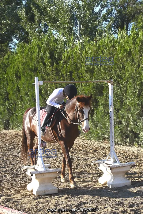 : Girl straddling Route handling Equestrian : Girl straddling Route handling Equestrian