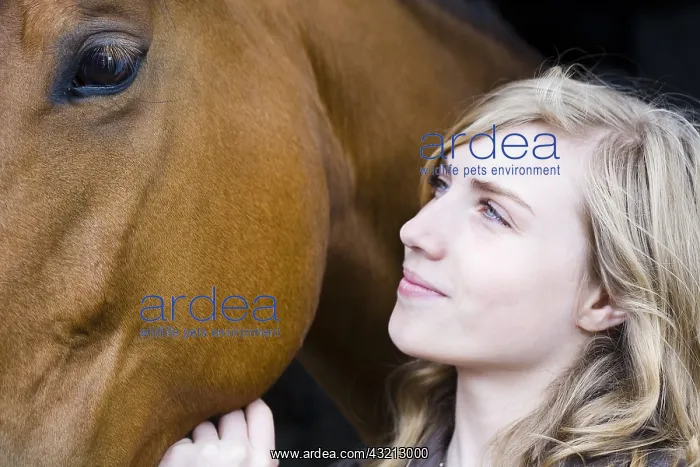 : Girl stroking the head of a Horse France : Girl stroking the head of a Horse France
