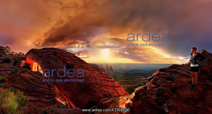  : Girl at sunrise at the stone arch Mesa Arch, Canyonlands