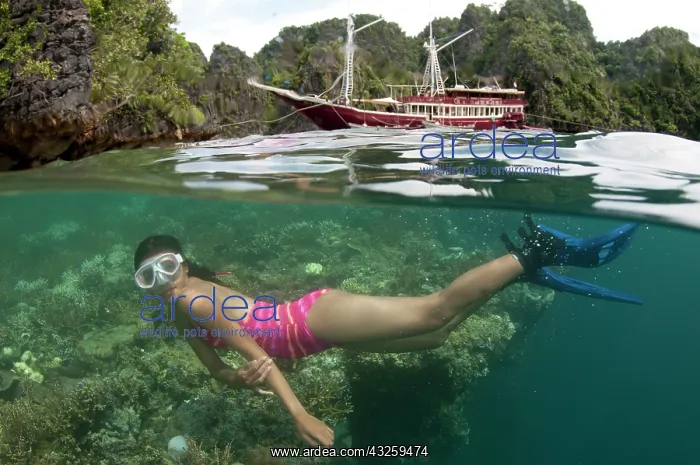 : Girl swimming (model released) swimming over reef : Girl swimming (model released) swimming over reef