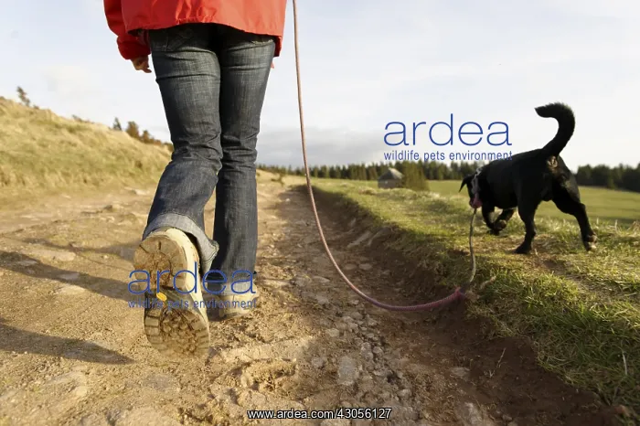 : Girl walking her dog on a leash The Wettstein : Girl walking her dog on a leash The Wettstein
