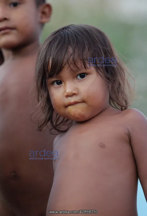 : Girl - Warao Indian : Girl - Warao Indian