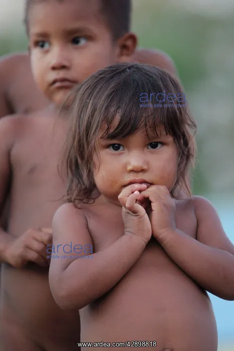 : Girl - Warao Indian : Girl - Warao Indian