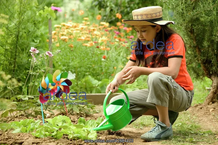 : Girl - watering garden with watering can : Girl - watering garden with watering can