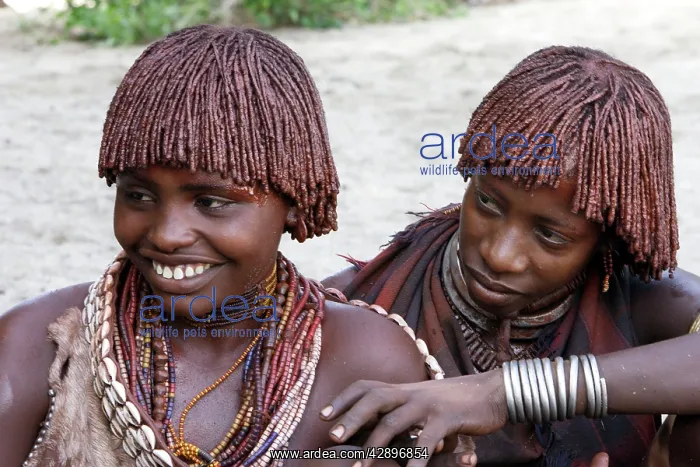  : Girls - Hamer tribe