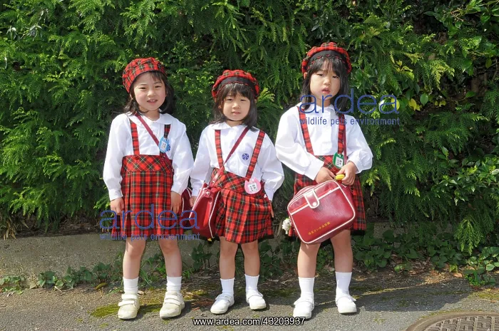 : Three girls in the uniform of an elite nursery school : Three girls in the uniform of an elite nursery school