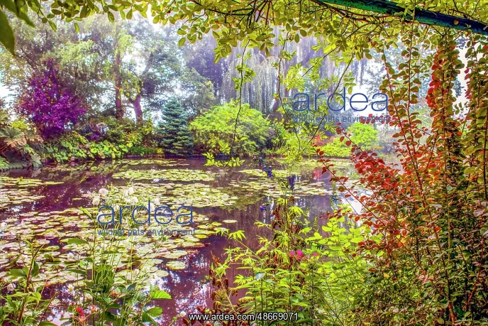 : Giverny, France. Landscape view of Claude Monet's famous : Giverny, France. Landscape view of Claude Monet's famous