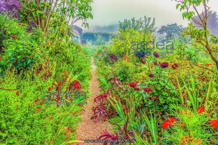 : Giverny, France. Wide angle landscape view of Claude Monet's : Giverny, France. Wide angle landscape view of Claude Monet's