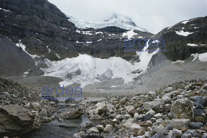 : Glacial Action : Glacial Action