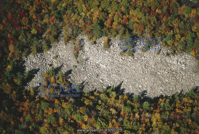 : Glacial Boulder Field : Glacial Boulder Field