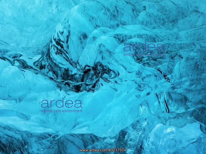 : Glacial cave in the Breidamerkurjoekull : Glacial cave in the Breidamerkurjoekull