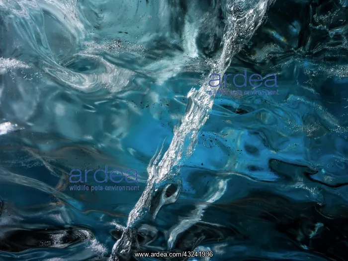 : Glacial cave in the Breidamerkurjoekull : Glacial cave in the Breidamerkurjoekull