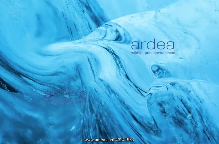 : Glacial cave in the Breidamerkurjoekull : Glacial cave in the Breidamerkurjoekull