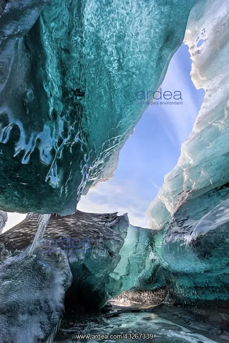 : Glacial cave in the Breidamerkurjoekull : Glacial cave in the Breidamerkurjoekull