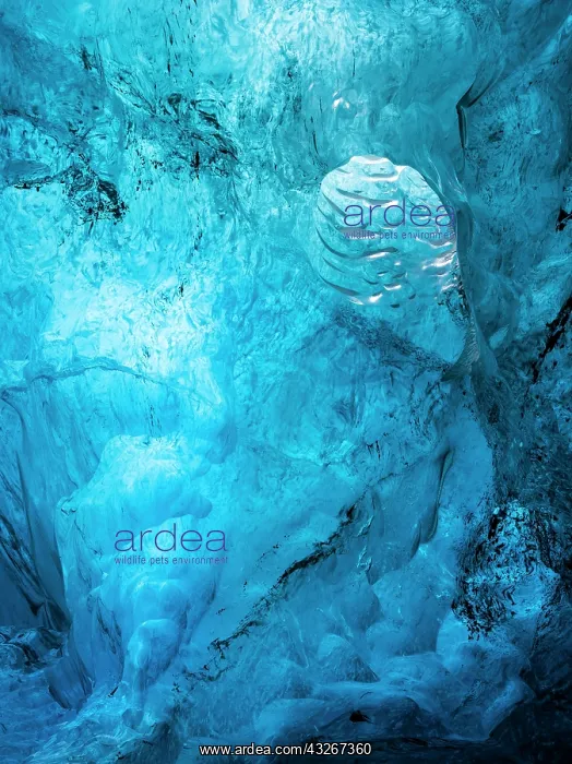 : Glacial cave in the Breidamerkurjoekull : Glacial cave in the Breidamerkurjoekull