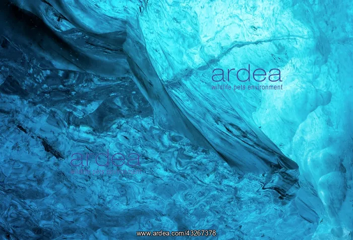 : Glacial cave in the Breidamerkurjoekull : Glacial cave in the Breidamerkurjoekull