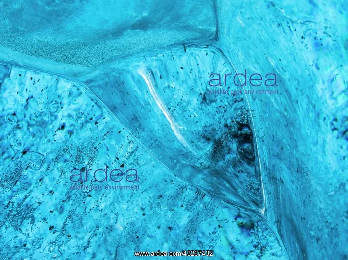 : Glacial cave in the Breidamerkurjoekull : Glacial cave in the Breidamerkurjoekull