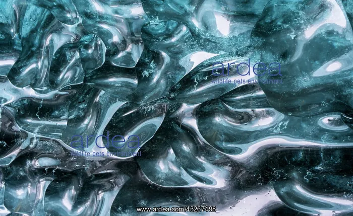 : Glacial cave in the Breidamerkurjoekull : Glacial cave in the Breidamerkurjoekull
