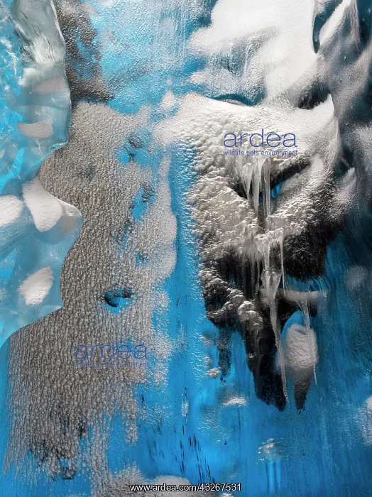 : Glacial cave in the Breidamerkurjoekull : Glacial cave in the Breidamerkurjoekull