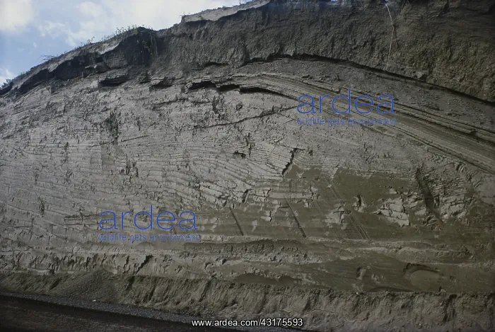 : Glacial Clay Beds : Glacial Clay Beds