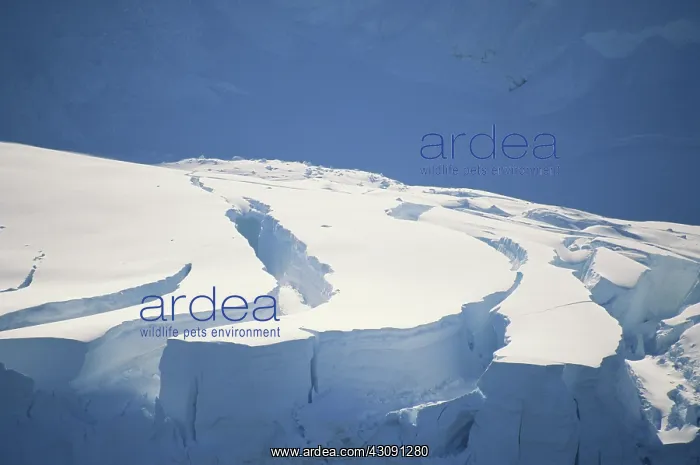 : Glacial Crevasses : Glacial Crevasses