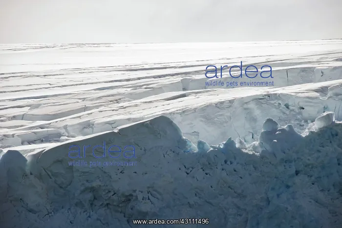: Glacial Crevasses : Glacial Crevasses