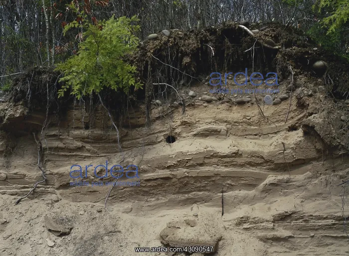 : Glacial Drift : Glacial Drift